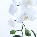 Ver imagem 2 de Arranjo de Orquídea Artificial Branca em Vaso Branco Fosco