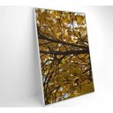 Ver mais imagens de Quadro Flores Ipê Amarelo 2 80x120 Cm Adesivo Fotográfico