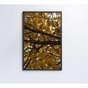 Ver imagem 3 de Quadro Flores Ipê Amarelo 2 80x120 Cm Adesivo Fotográfico
