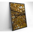 Ver imagem 6 de Quadro Flores Ipê Amarelo 2 80x120 Cm Adesivo Fotográfico