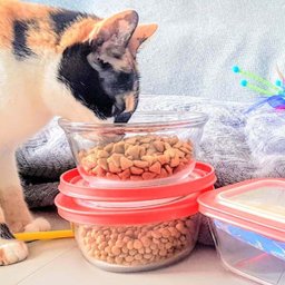 Pote Redondo De Vidro 600ml Pequeno com Tampa Plástica Facilitá Marinex - 2