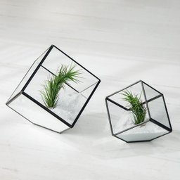 Terrário Preto Em Vidro E Latão M - Mart - 2