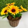Arranjo De Girassol Flor Artificial + Vaso Fibra Sintética Tamanho:Grande - 7