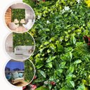 Ver imagem 7 de Placas de Grama Artificial 0,5m² Proteção Uv de Fácil Instalação - Plantas Decorativas para Sala
