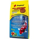Ver imagem 1 de TROPICAL KOI & GOLDFISH COLOUR STICKS 4000G (BAG)