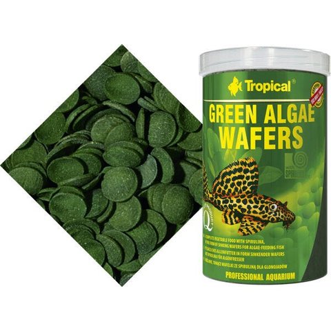 TROPICAL GREEN ALGAE WAFERS 113G - UN