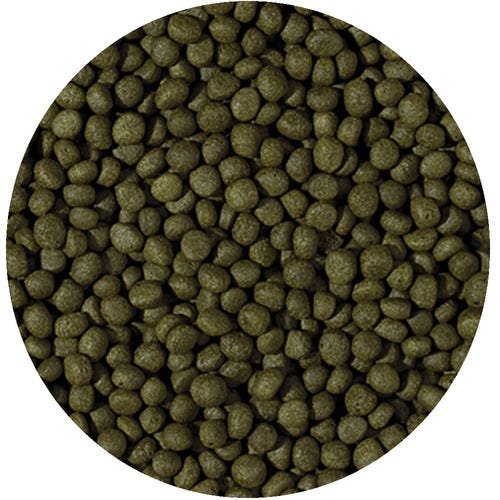 TROPICAL CICHLID HERBIVORE MEDIUM PELLET 180G - ( TROPICAL CICLIDEOS HERBIVOROS ) - 2