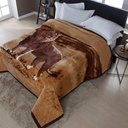 Ver imagem 1 de COBERTOR RASCHEL PLUS CASAL LEÃO