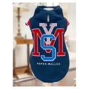 Ver imagem 1 de MALLOO ROUPA MOLETOM LETRAS ASPEN TAMANHO P - UN