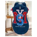 Ver imagem 2 de MALLOO ROUPA MOLETOM LETRAS ASPEN TAMANHO P - UN