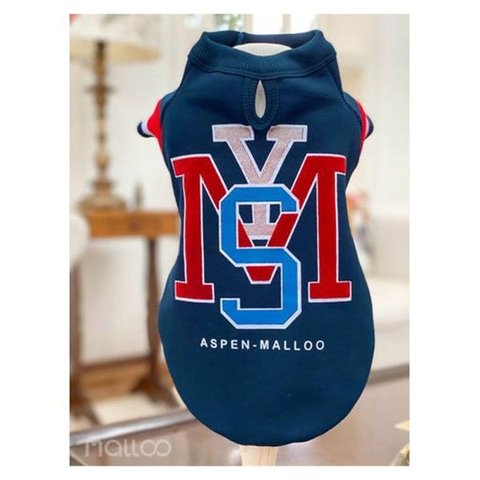 MALLOO ROUPA MOLETOM LETRAS ASPEN TAMANHO PP - UN