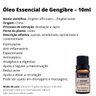 Óleo Essencial Natural Gengibre Via Aroma - Zingiber officinale L., Zingiberaceae - 2