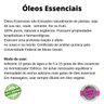 Óleo Essencial Natural Manjericão Via Aroma 10ml - Ocimum basilicum - 3
