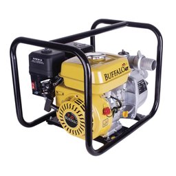 Motobomba Auto Escorvante bfg Buffalo 2 Pol Partida Manual 7cv - 1