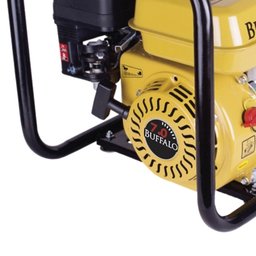 Motobomba Auto Escorvante bfg Buffalo 2 Pol Partida Manual 7cv - 2