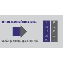 Motobomba Auto Escorvante bfg Buffalo 2 Pol Partida Manual 7cv - 5