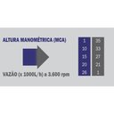 Ver imagem 5 de Motobomba Auto Escorvante bfg Buffalo 2 Pol Partida Manual 7cv