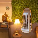 Ver imagem 3 de Espelho Palmas D