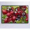 Quadro Guaraná Selvagem Amazônia 90x60 Cm Vidro Impresso - 1