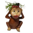 Ver imagem 3 de Vaso Macaco Sábio Trio Imperial para Suculentas