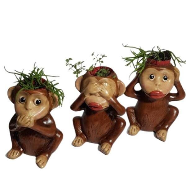 Vaso Macaco Sábio Trio Imperial para Suculentas