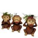 Ver imagem 2 de Vaso Macaco Sábio Trio Imperial para Suculentas