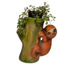 Ver imagem 1 de Bicho Preguiça Tronco Porta Suculentas