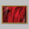 Quadro Abstrato Textura Pena Vermelha - 20x30cm - Moldura Caixa Madeira - 1