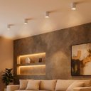 Ver imagem 3 de 3 Mini Spot Sobrepor Direcionável Recuado Branco Sala Luz03