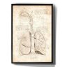 Quadro Decorativo Desenho Pulmão Anatomia Humana - 1