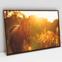 Ver imagem 1 de Quadro Decorativo em Canvas Cavalo ao Pôr do Sol TaColado Moldura Flutuante 4,5cm Freijó 120 x 80cm