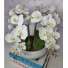 Arranjo Com 4 Orquídeas Branca Vaso Ceramica 28cm - 2