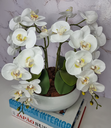 Ver imagem 2 de Arranjo Com 4 Orquídeas Branca Vaso Ceramica 28cm