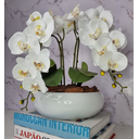 Ver imagem 1 de Arranjo Com 4 Orquídeas Branca Vaso Ceramica 28cm