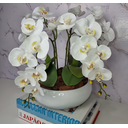 Ver imagem 3 de Arranjo Com 4 Orquídeas Branca Vaso Ceramica 28cm