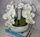 Ver imagem 3 de Arranjo Com 4 Orquídeas Branca Vaso Ceramica 28cm