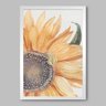 Quadro Floral Girassol Aquarela - 20x30cm - Moldura Padrão Branco - 1