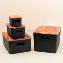 Ver mais imagens de Caixa Organizadora 6l de Plástico com Tampa de Madeira- Oikos