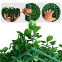 Ver imagem 3 de Kit 19 Quadros de Buxinhos Artificiais (60x40) Plantas Indicados para Área Interna Jardins Verticais
