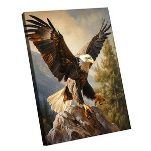 Quadro Águia na Rocha -- Br Artes