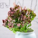 Ver imagem 4 de Kit 4 Plantas Kalanchoe Artificial Jardim Flores Buquê 30cm