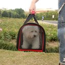 Ver imagem 5 de Bolsa Transporte Pet Cachorro Gato Animais Refletiva Segura Passeio Viagem Caminhada Aviao Carro Laz