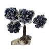 Árvore de Pedra Sodalita Rolada Presente e Decoração - 1