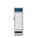 Ver imagem 1 de Refrigerador Expositor Vertical Metalfrio 256 Litros com Porta de Vidro e Frost Free 220v - Vb25rb