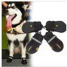 Sapato em Neoprene para Cachorro tam.8 ( Grande Porte) - 2
