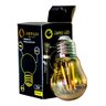 Kit 6 Lâmpada Filamento Led G45 Vintage Retro Carbono Ambar Cor da Luz Bivolt - 1