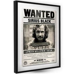 Sirius Black Jornal o Profeta Diário Quadro Decorativo Harry - 1