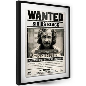 Sirius Black Jornal o Profeta Diário Quadro Decorativo Harry