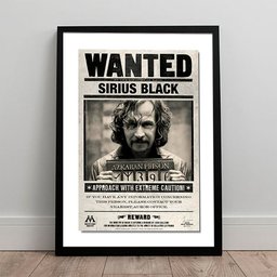 Sirius Black Jornal o Profeta Diário Quadro Decorativo Harry - 5