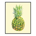 Ver imagem 1 de Quadro Decorativo Barcelona Abacaxi 20x25 cm